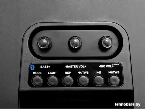 Колонка для вечеринок TELEFUNKEN TF-PS2206 фото 4