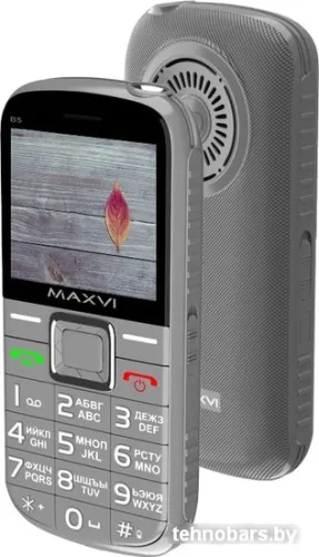 Мобильный телефон Maxvi B5 (серый) фото 3