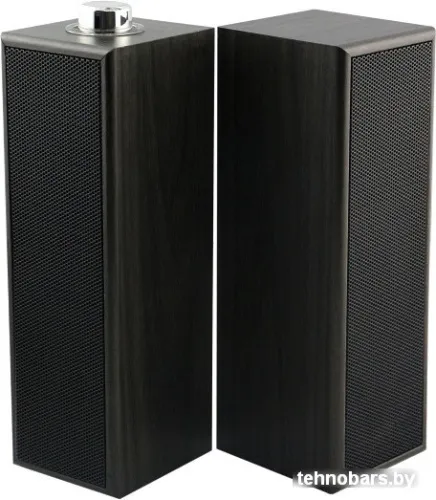 Акустика SmartBuy Torch [SBA-2560] фото 3