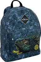 Рюкзак Erich Krause EasyLine 17L Iguana