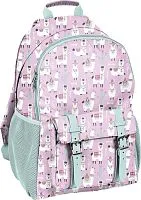 Школьный рюкзак Paso PP19LA-810