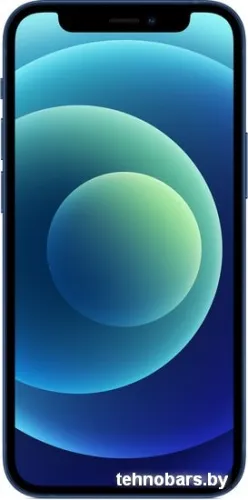 Смартфон Apple iPhone 12 mini 256GB (синий) фото 4