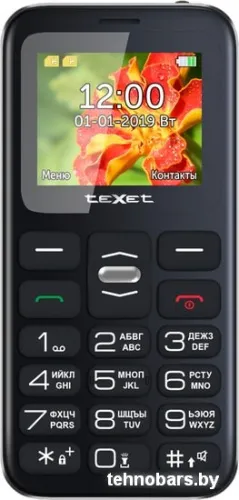 Мобильный телефон TeXet TM-B209 (черный) фото 4