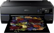 Фотопринтер Epson SureColor SC-P800