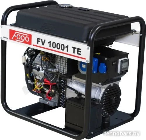 Бензиновый генератор Fogo FV 10001 TE фото 3