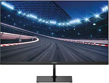 Игровой монитор Digma Overdrive 25P510F