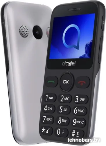 Мобильный телефон Alcatel 2019G (серебристый) фото 3