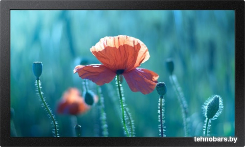 Интерактивная панель Samsung QB13R фото 3