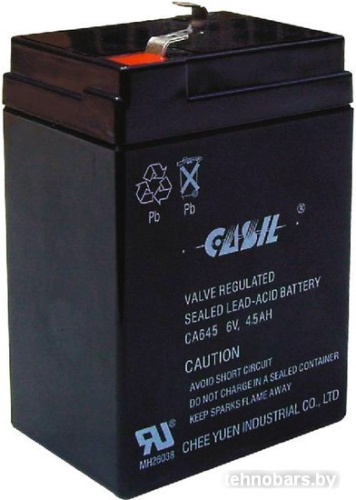 Аккумулятор для ИБП Casil CA645 (4.5 А·ч) фото 3