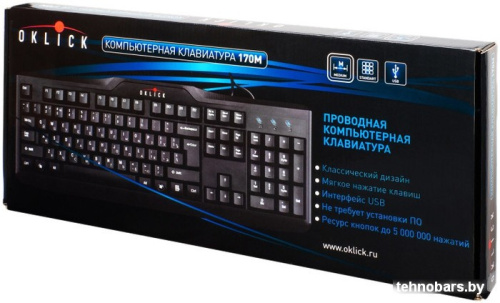 Клавиатура Oklick 170 M Standard Keyboard USB [866464] фото 5