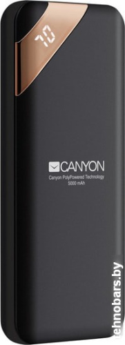 Портативное зарядное устройство Canyon CNE-CPBP5B фото 3