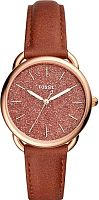 Наручные часы Fossil Tailor ES4420