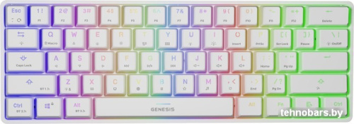 Клавиатура Genesis Thor 660 (белый) фото 3