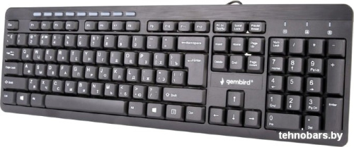 Клавиатура Gembird KB-UM-106-RU фото 4