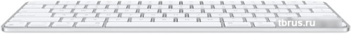 Клавиатура Apple Magic Keyboard MK2A3RS/A фото 4