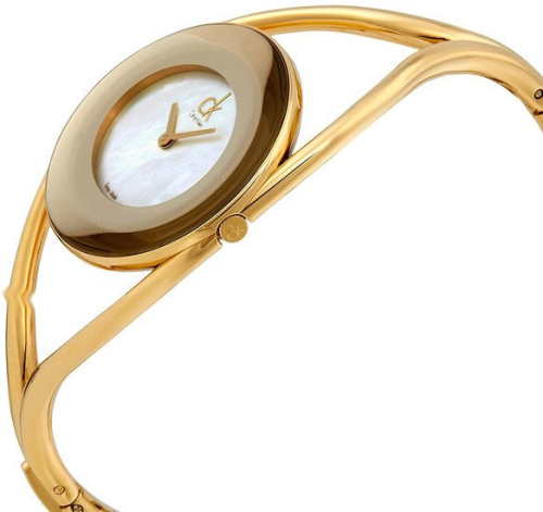 Наручные часы Calvin Klein K1A2381G фото 5