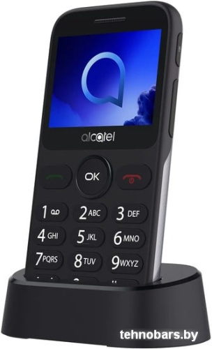 Мобильный телефон Alcatel 2019G (серебристый) фото 4
