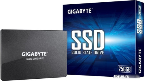SSD Gigabyte 256GB GP-GSTFS31256GTND фото 6