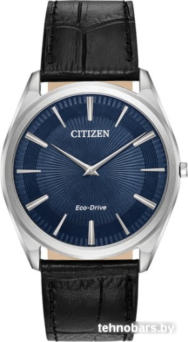 Наручные часы Citizen AR3070-04L фото 3
