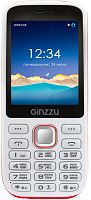 Мобильный телефон Ginzzu M201 White/Red
