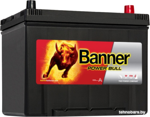 Автомобильный аккумулятор Banner Power Bull P80 09 (80 А·ч) фото 3