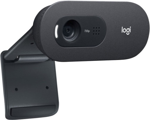 Веб-камера Logitech C505 фото 4