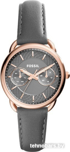 Наручные часы Fossil ES3913 фото 3