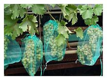 Сетка для защиты гроздей винограда от птиц и ос, 50 шт, 50 см, ИНТЕРЛОК (4814200000564)
