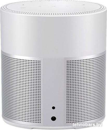 Умная колонка Bose Home Speaker 300 (серебристый) фото 5
