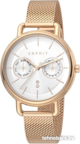Наручные часы Esprit ES1L179M0095 фото 3