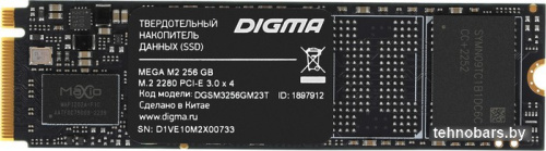 SSD Digma Mega M2 256GB DGSM3256GM23T фото 3