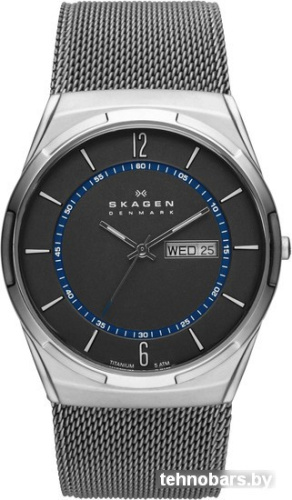 Наручные часы Skagen SKW6078 фото 3