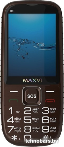 Мобильный телефон Maxvi B9 (коричневый) фото 4