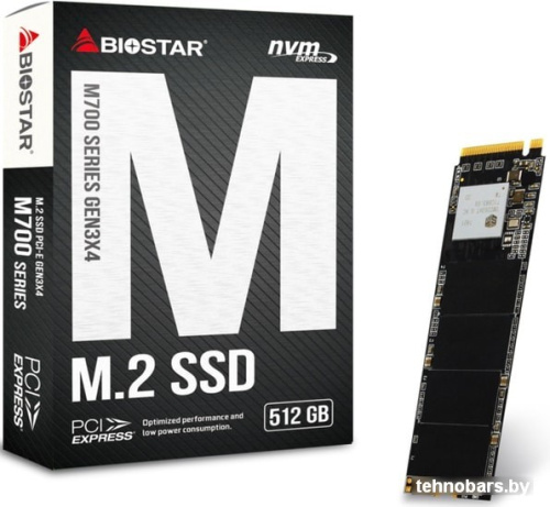 SSD BIOSTAR M700 512GB M700-512GB фото 4