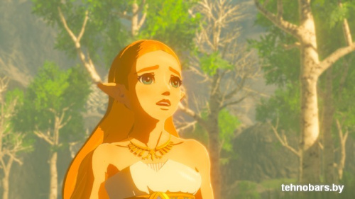 Игра The Legend of Zelda: Breath of the Wild для Nintendo Switch фото 4