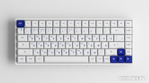 Клавиатура Akko 3084B Plus White & Blue (Akko CS Jelly Purple) фото 5