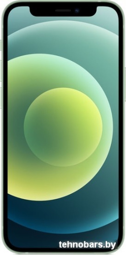Apple iPhone 12 mini 128GB Воcстановленный by Breezy, грейд B (зеленый) фото 4