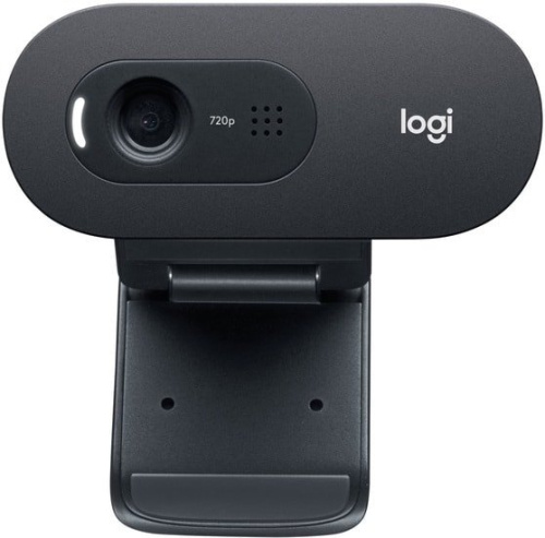 Веб-камера Logitech C505 фото 5