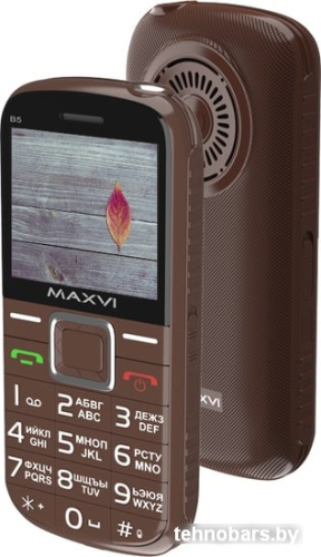 Мобильный телефон Maxvi B5 (коричневый) фото 3