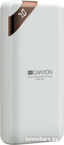 Портативное зарядное устройство Canyon CNE-CPBP20W фото 3