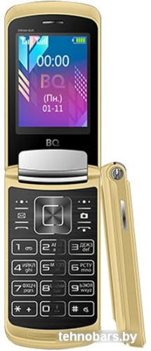 Мобильный телефон BQ-Mobile BQ-2433 Dream DUO (золотистый) фото 4