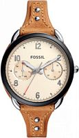Наручные часы Fossil ES4175