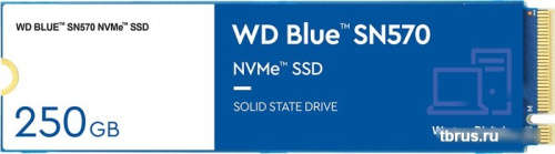 SSD WD Blue SN570 250GB WDS250G3B0C фото 3