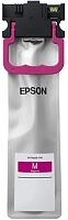 Картридж Epson C13T01C300