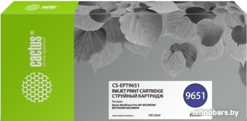 Картридж CACTUS CS-EPT9651 (аналог Epson C13T965140) фото 3