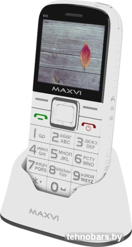 Мобильный телефон Maxvi B5 (белый) фото 4