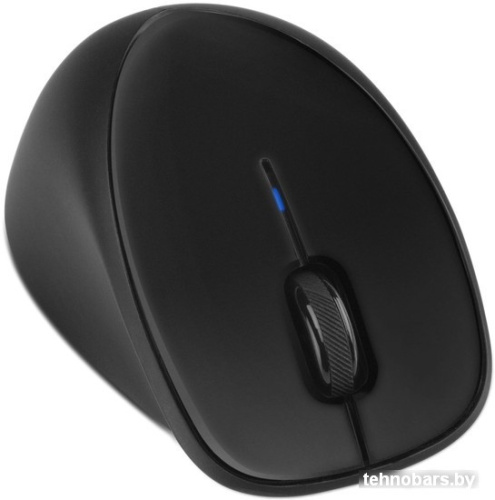 Мышь HP Comfort Grip Wireless Mouse (H2L63AA) фото 5