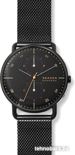 Наручные часы Skagen SKW6538 фото 4
