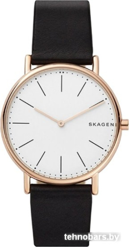 Наручные часы Skagen SKW6430 фото 3