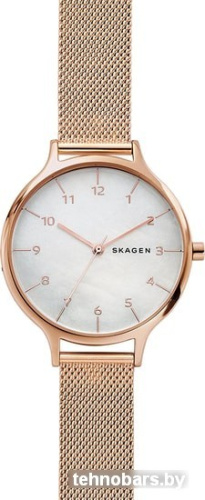 Наручные часы Skagen SKW2633 фото 3
